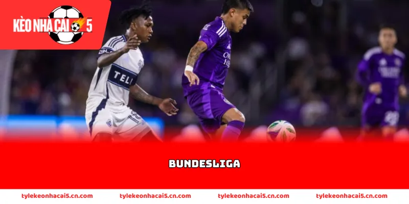 Thông tin về lịch sử phát triển hào hùng của Bundesliga