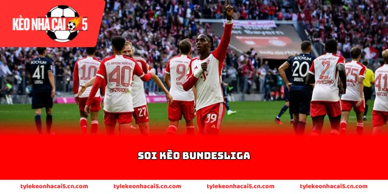 Người chơi cần nắm rõ yếu tố sân nhà và sân chơi khi tham gia cá cược