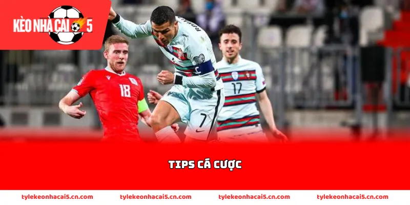 Tips cá cược cho người chơi chính là định hình tư duy dài hạn