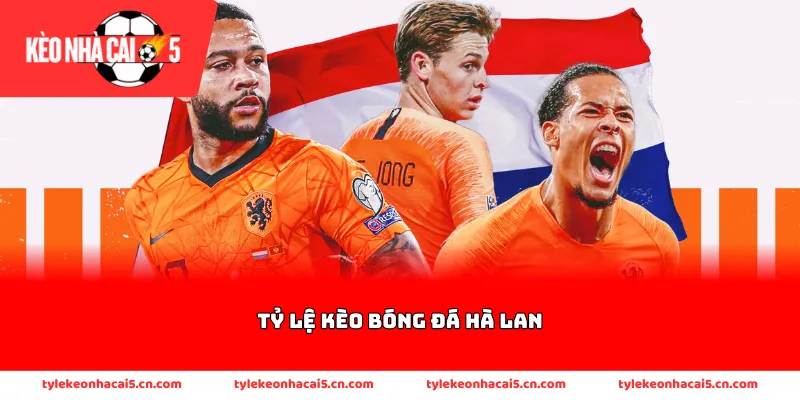 Thông tin về tỷ lệ kèo bóng đá Hà Lan