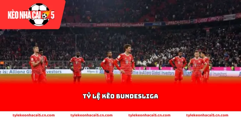 Thông tin về tỷ lệ kèo Bundesliga tại Đức