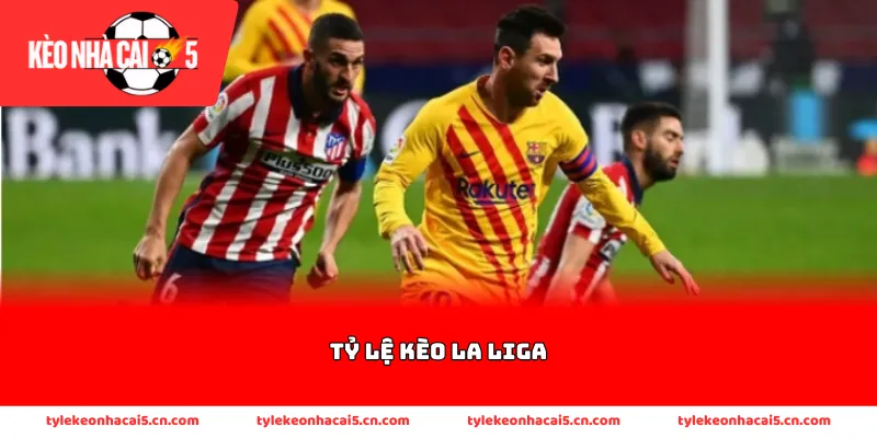 Tìm hiểu thông tin về sự thống trị của các ông lớn